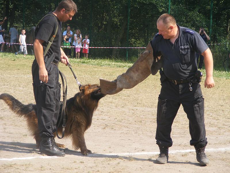 01.07.12r. FESTYN 131